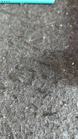 ggsh