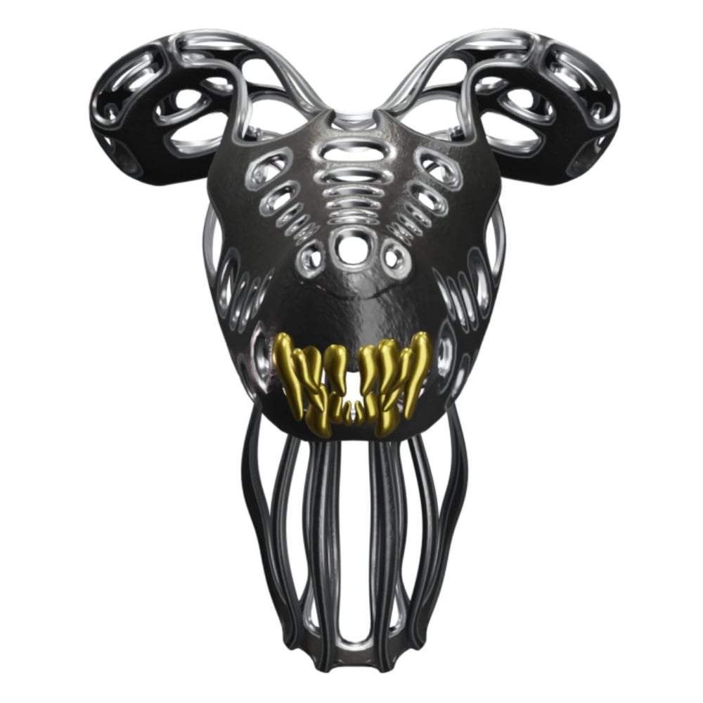 asset image