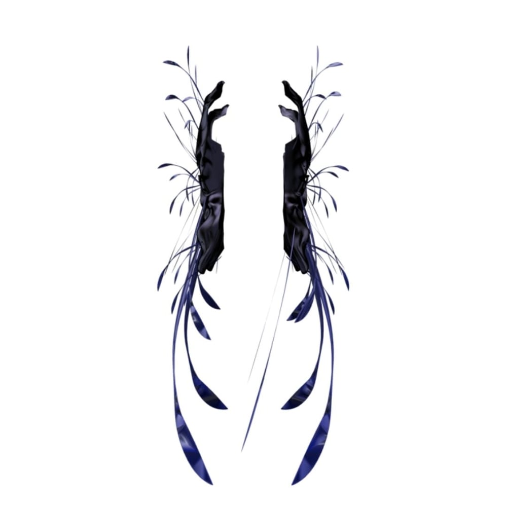 asset image