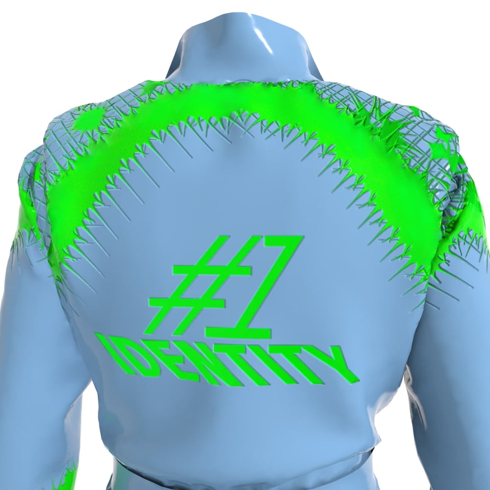 asset image