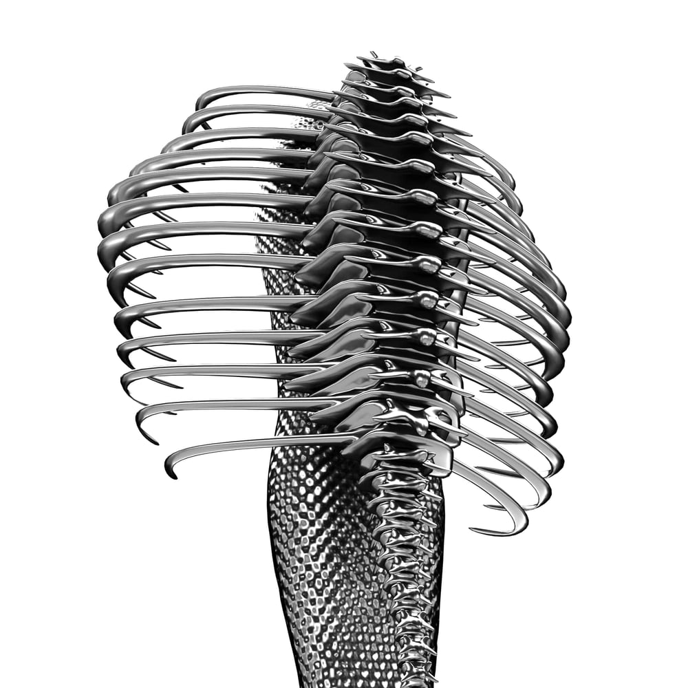 asset image