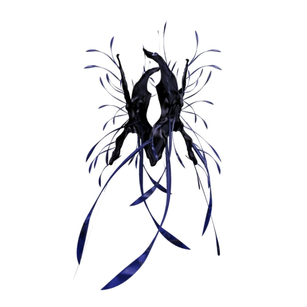 asset image