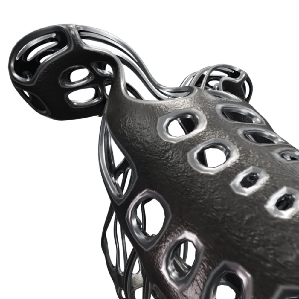 asset image