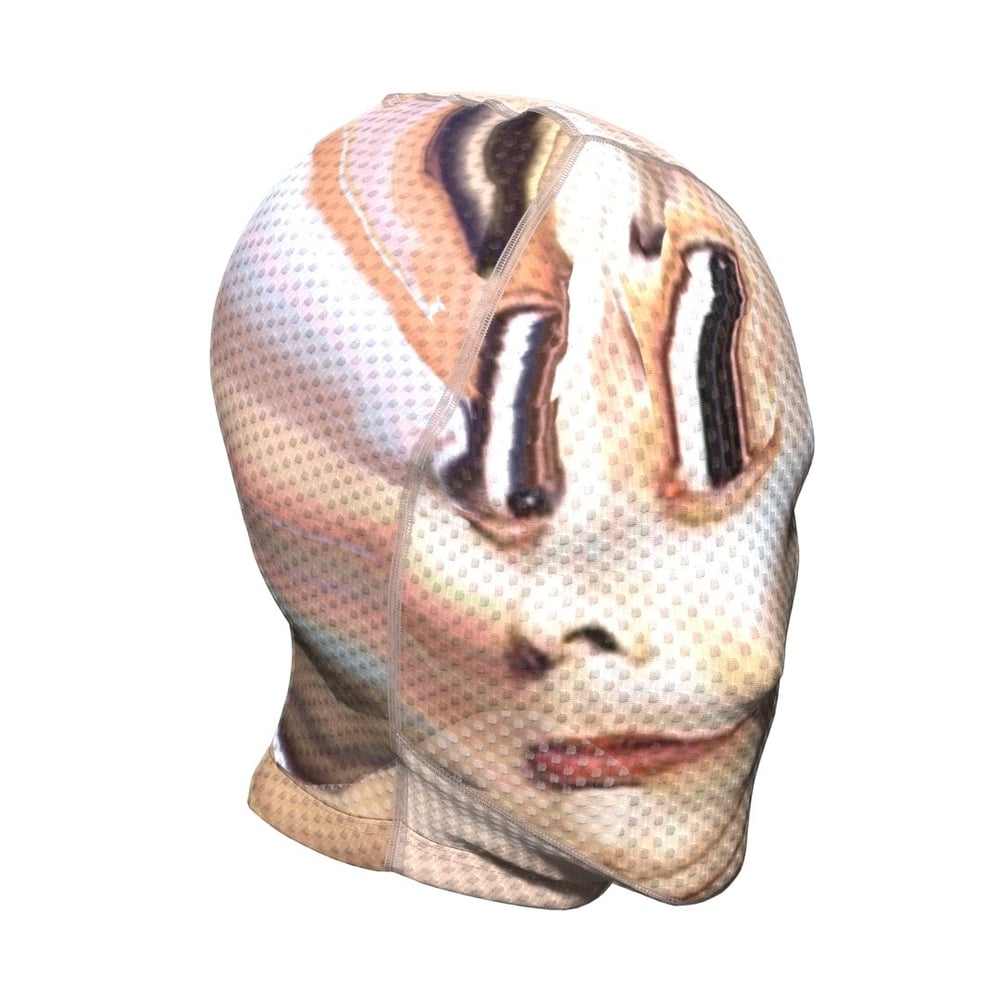 asset image