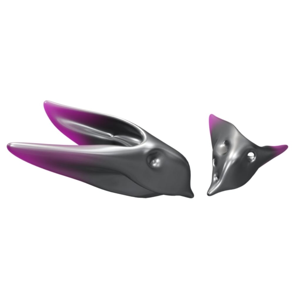 asset image
