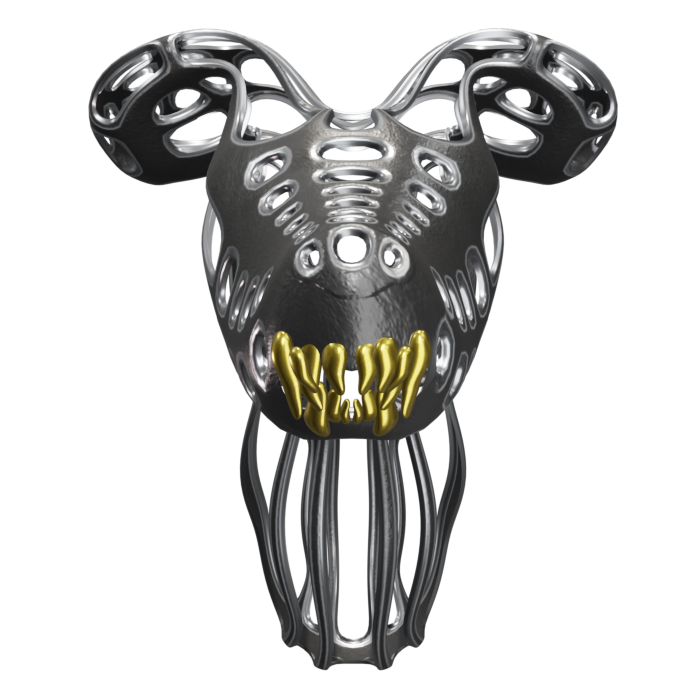 asset image