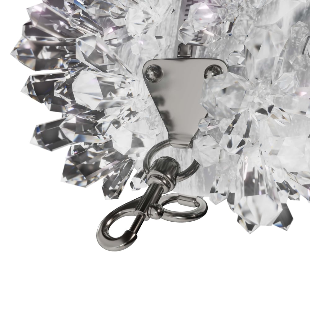 asset image