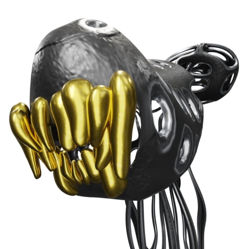 asset image