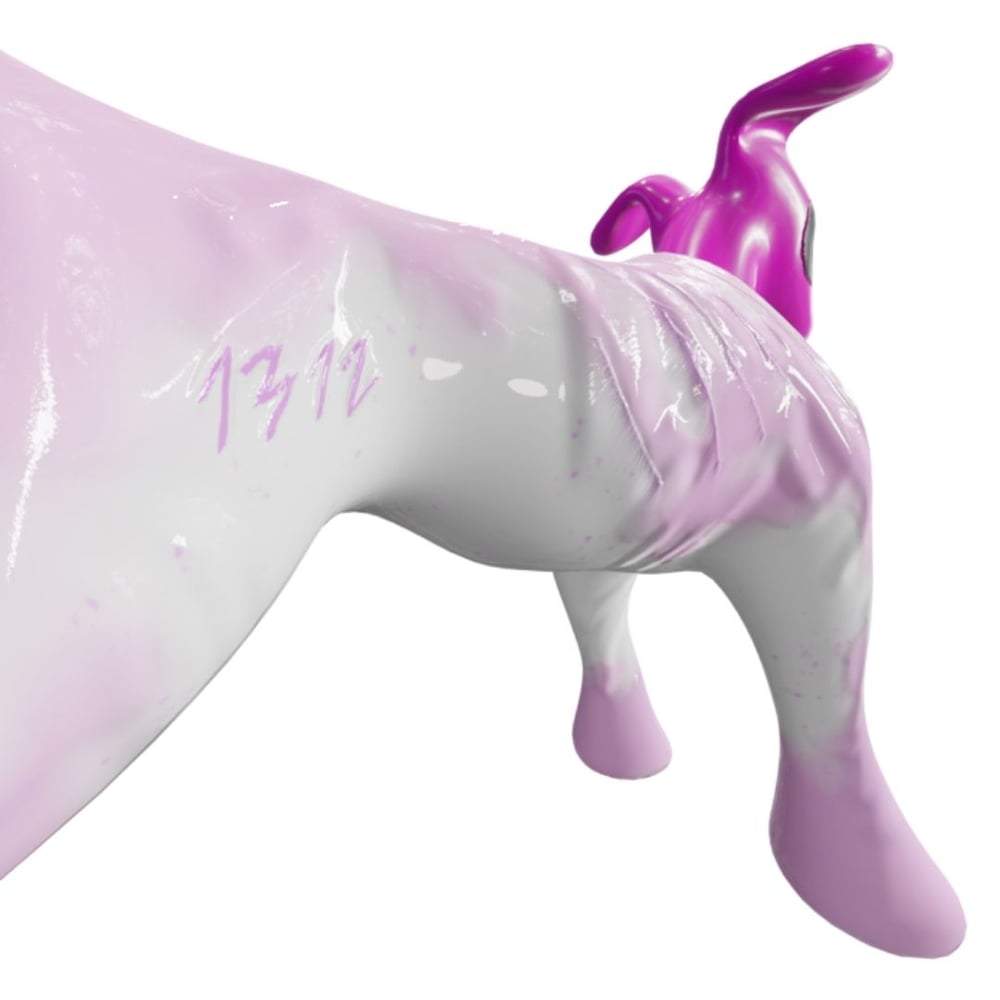 asset image