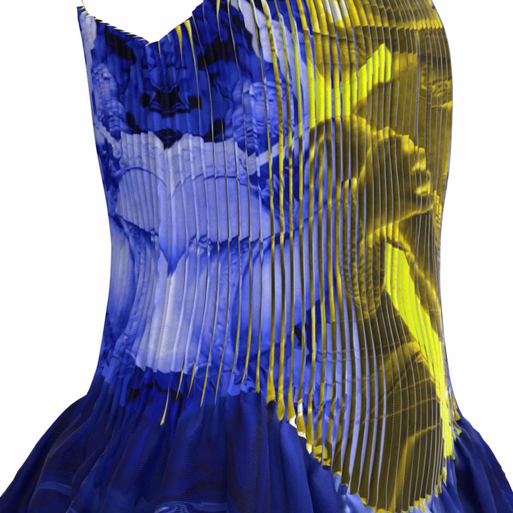 asset image