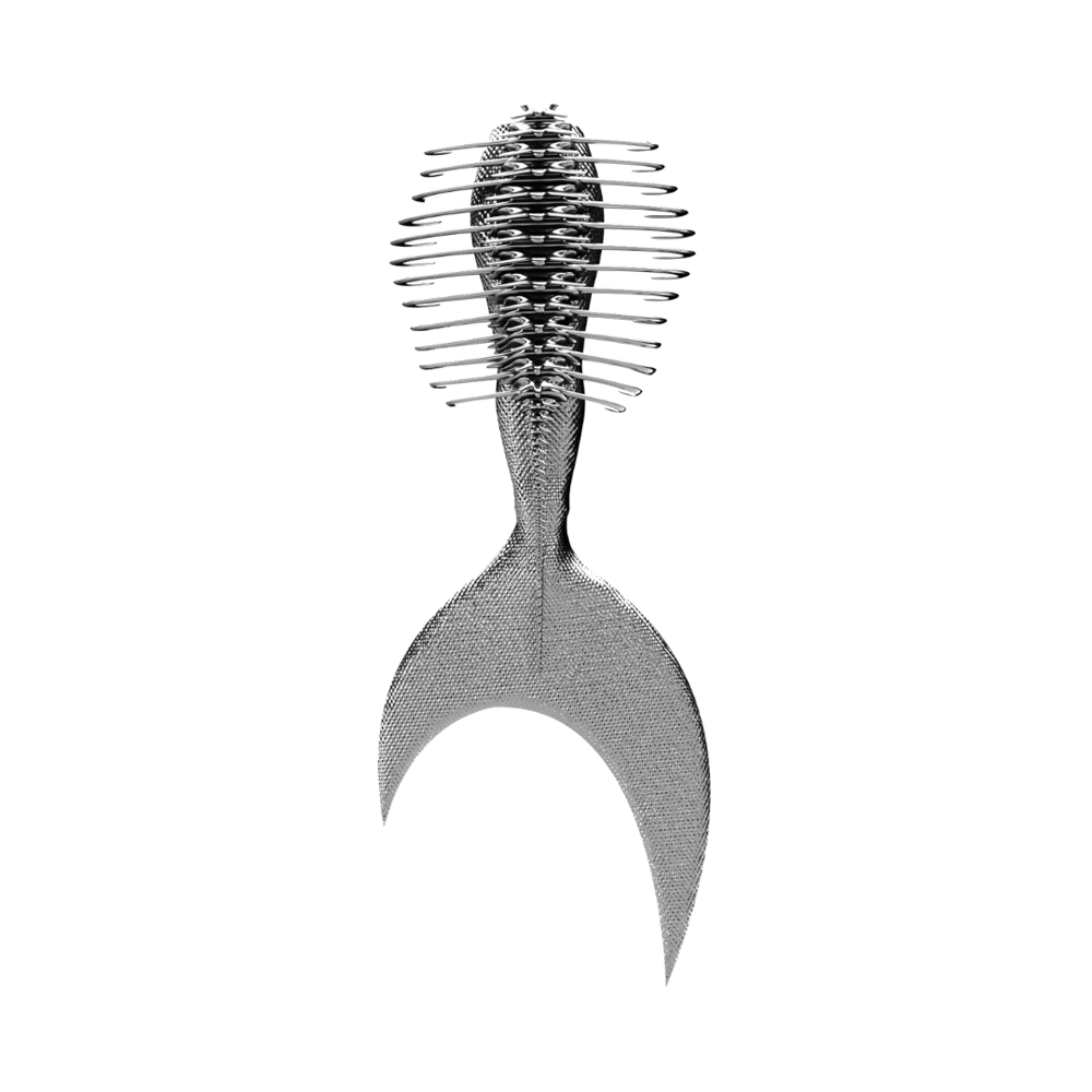 asset image