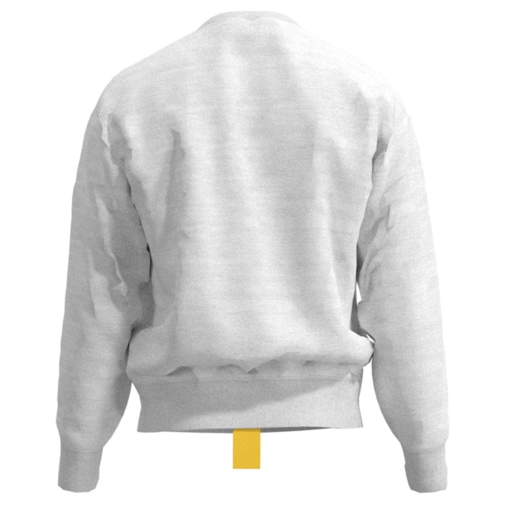 asset image