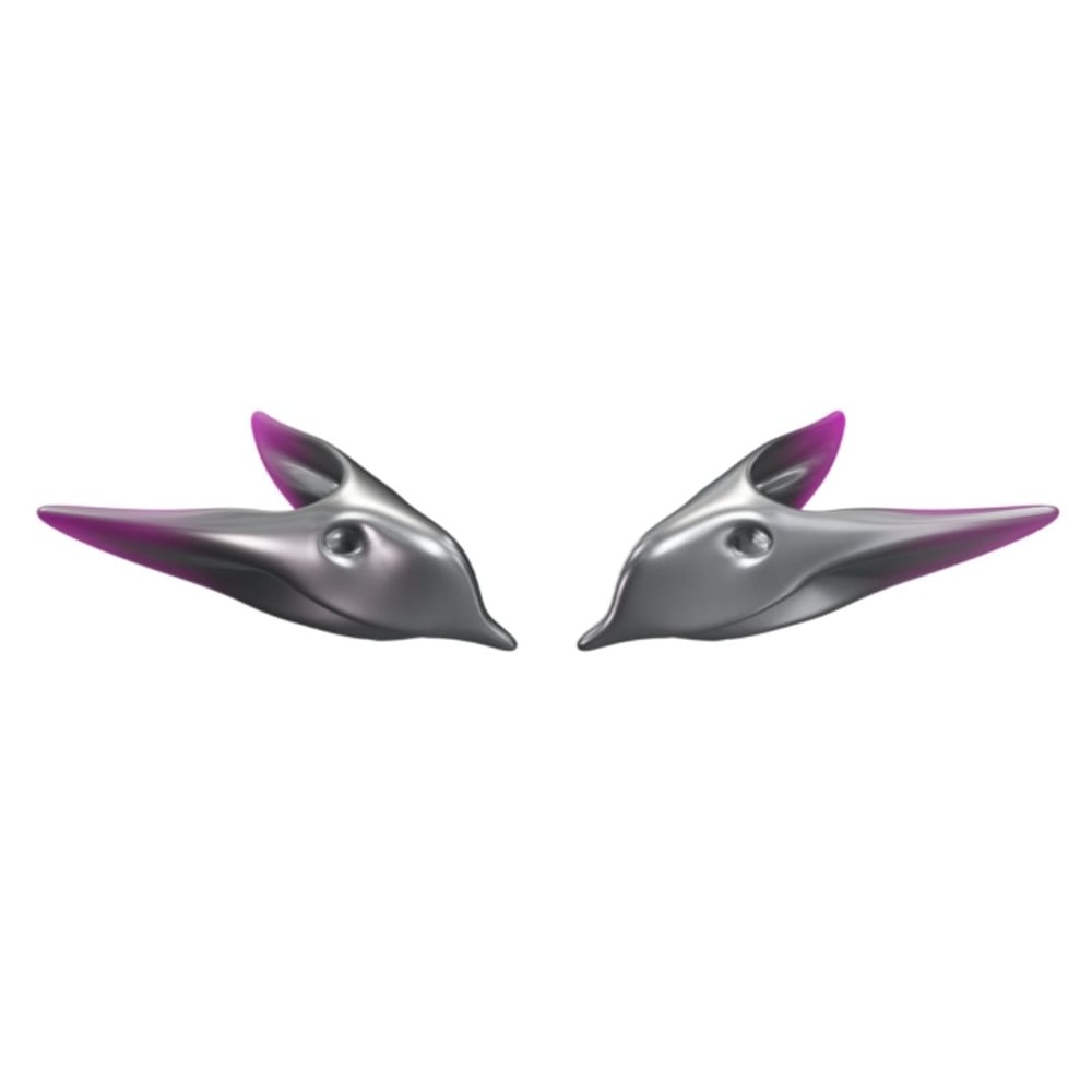 asset image