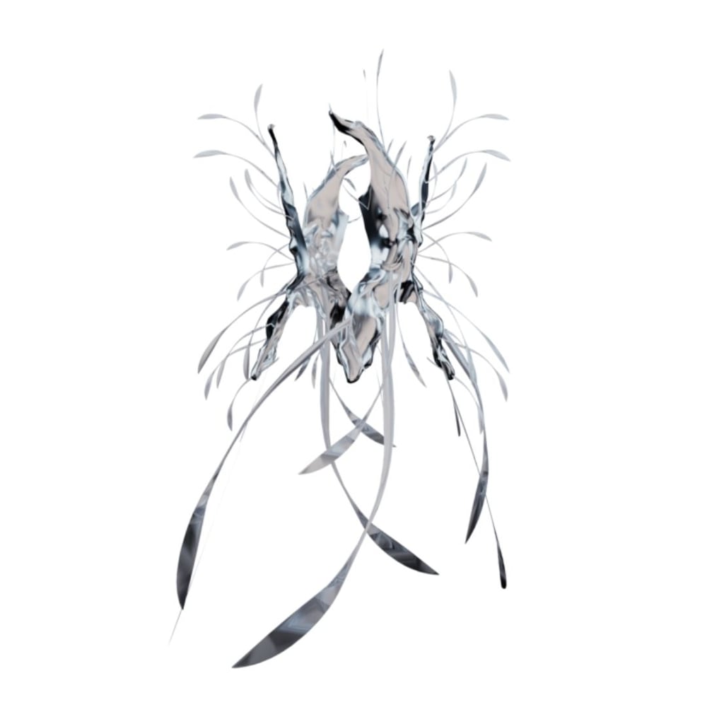 asset image