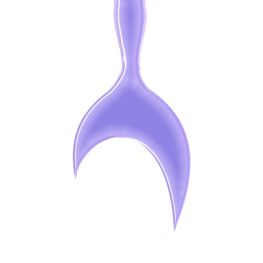 asset image