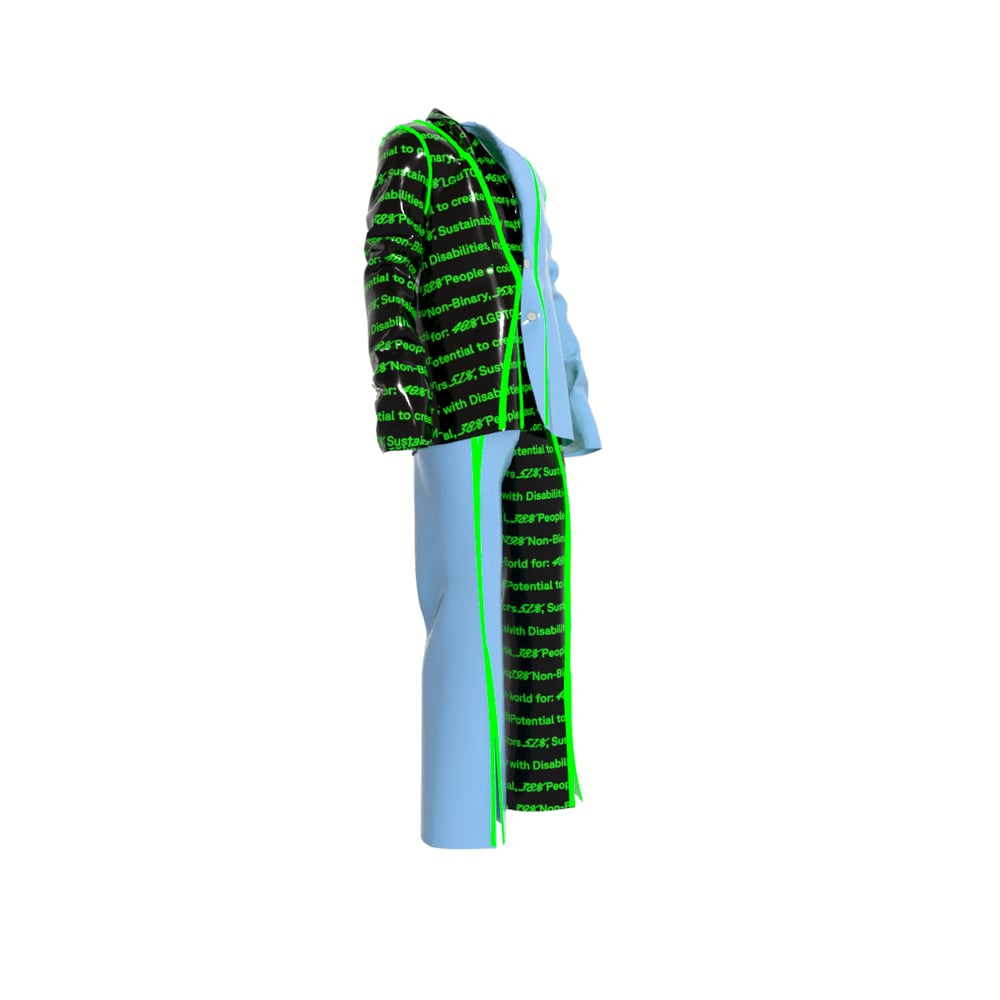 asset image