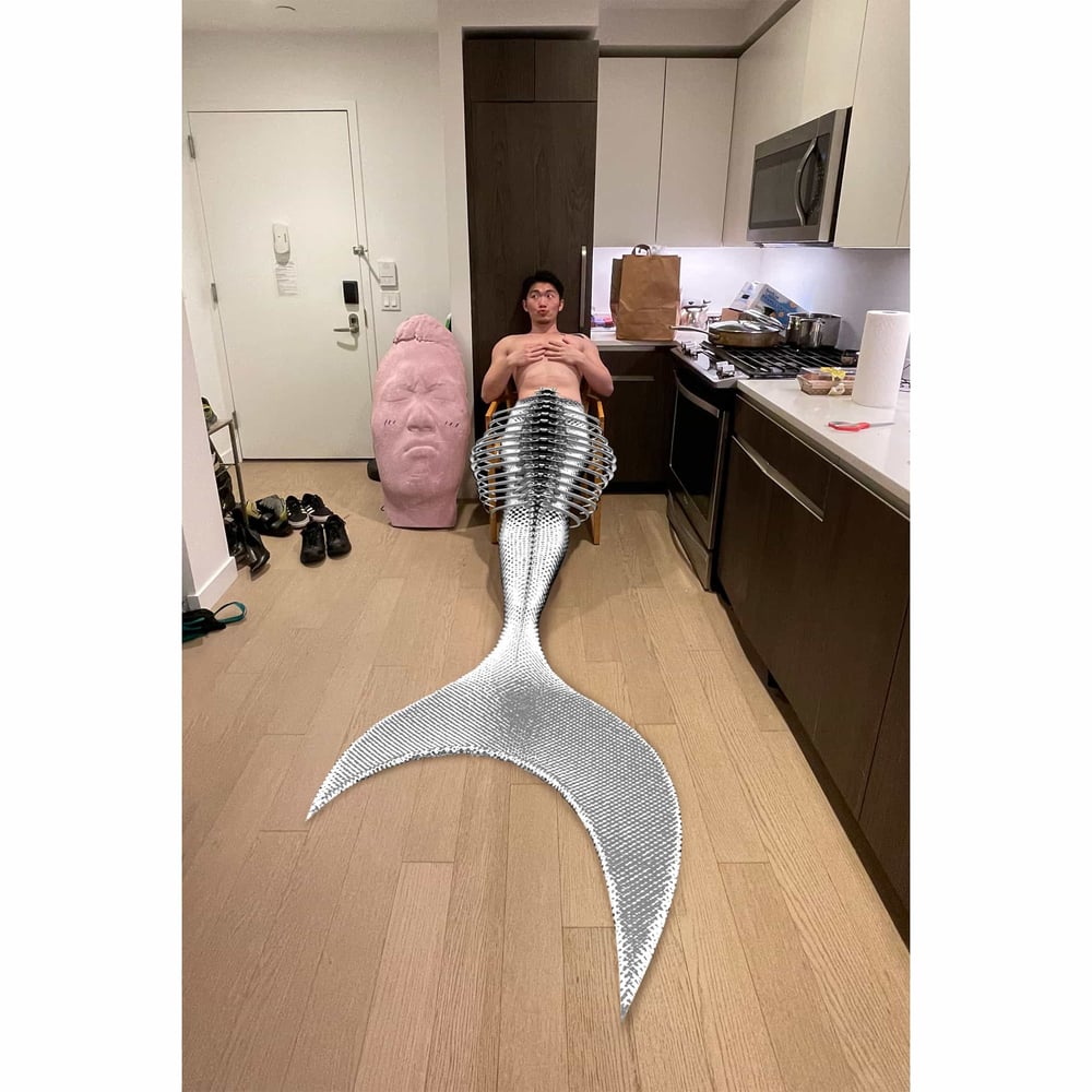 asset image