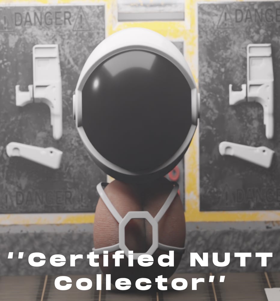 asset image