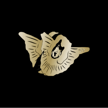 Digital Asset